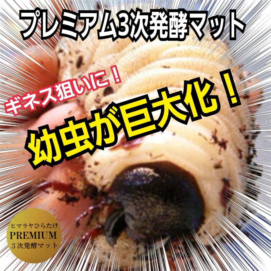 ヘラクレス181ミリ羽化実績！極上！プレミアム3次発酵カブトムシマット　100L