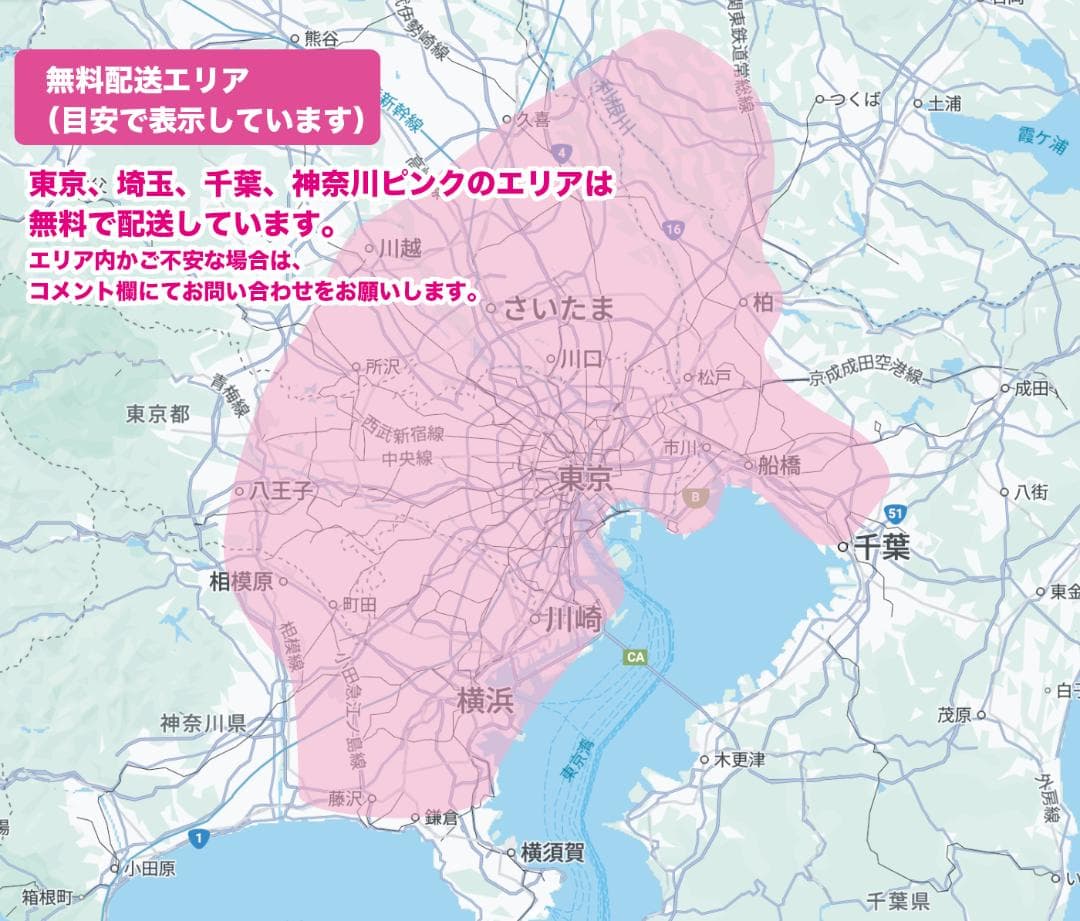 大幅値下中《PANASONIC》20インチ子供乗せ電動自転車ギュットNZ2940