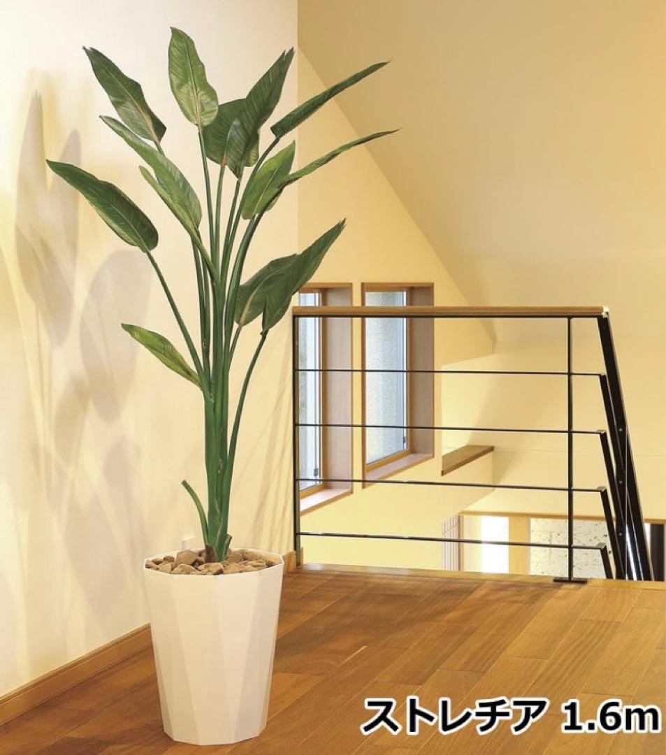 光触媒　人工観葉植物　ウォールグリーン　フェイクグリーン　ストレチア1.6m