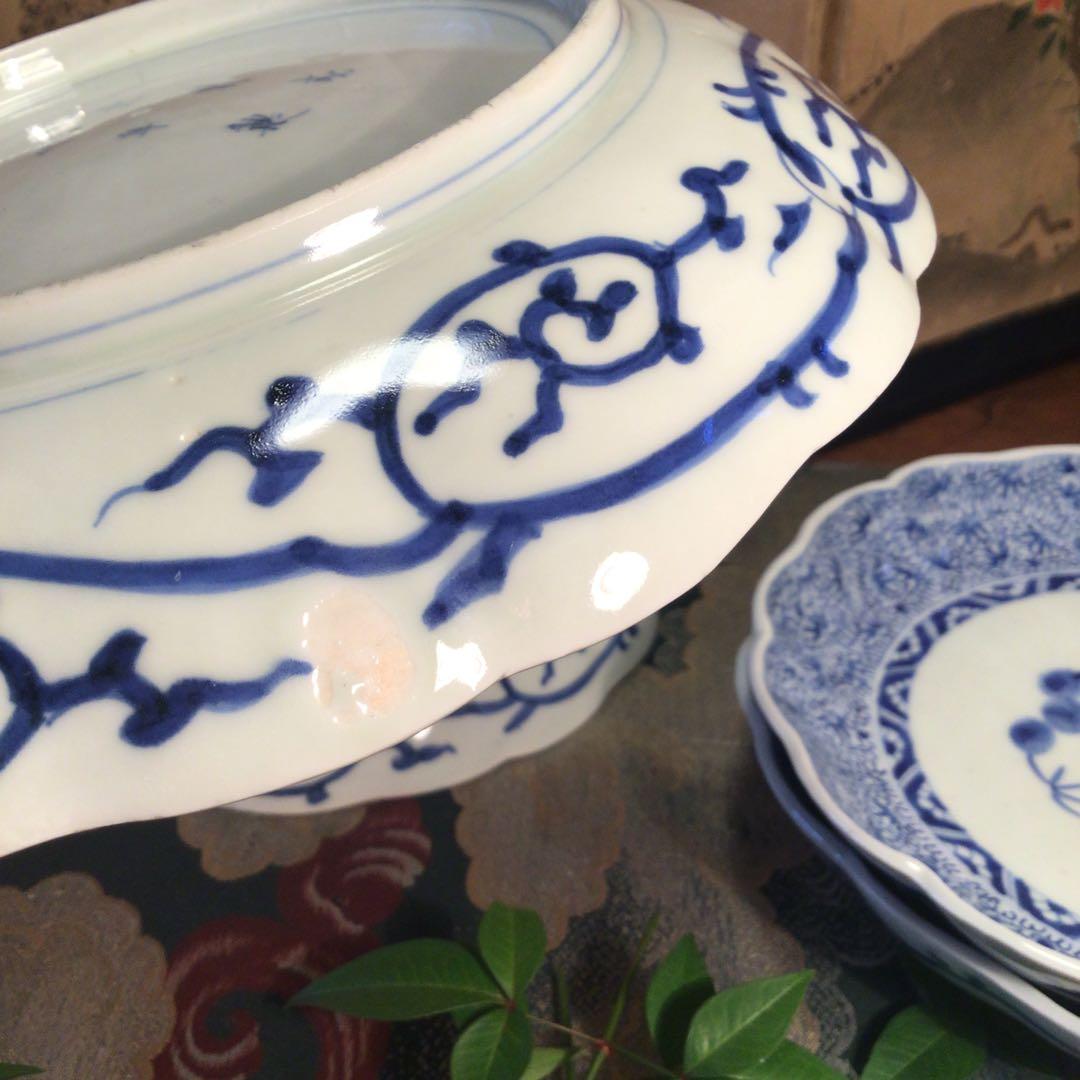 A781 古伊万里　上手　微塵唐草紋様　輪花型　7寸皿　5枚