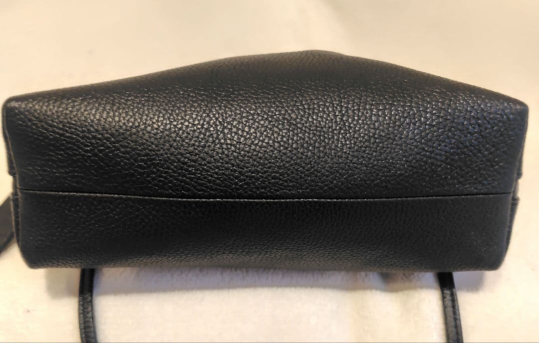 ジャンニキャリーニ アリファ M 黒 ショルダーバッグ　レザー　2way