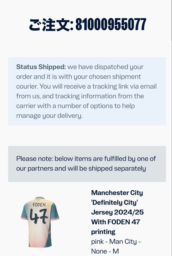 Manchester City 4th kit 47（正規品） タグ付き