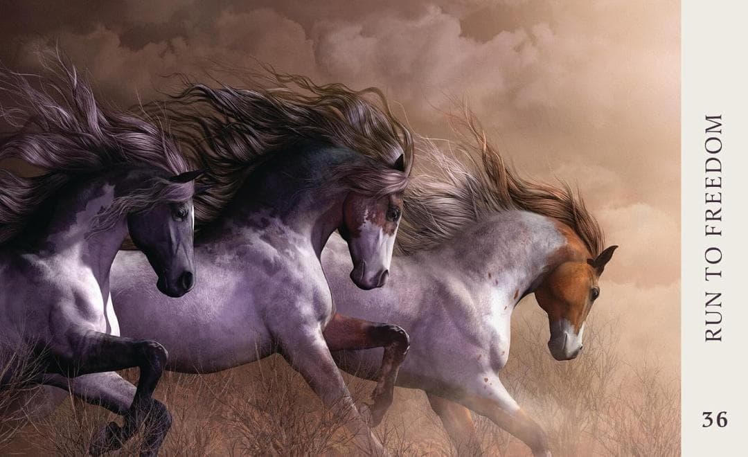 【正規品オラクルカード】超希少✨美しく幻想的な馬たちの知恵のオラクルカード