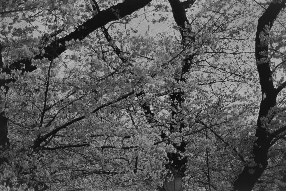 Nikon FA ボディのみ