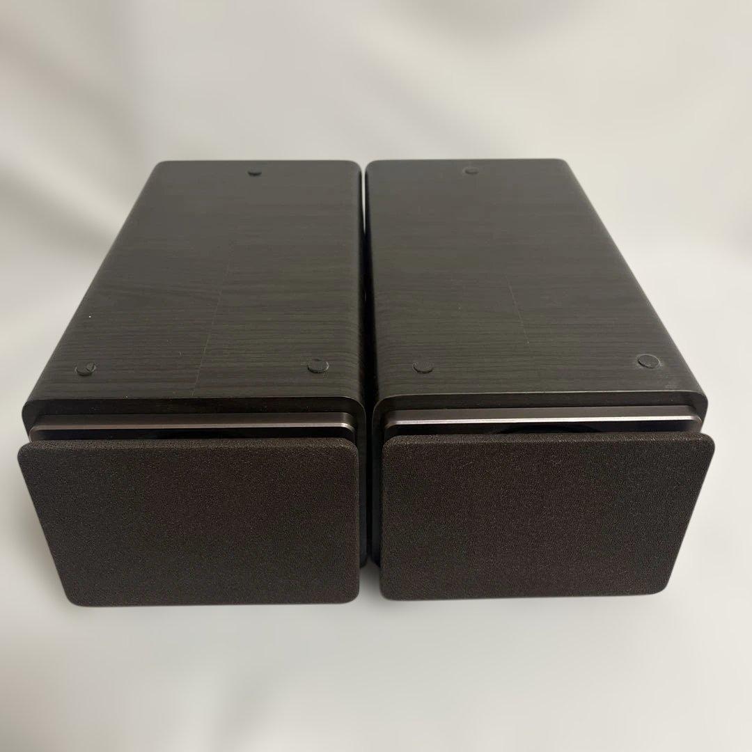 JVCケンウッド EX-S55-T ウッドコーンシリーズ