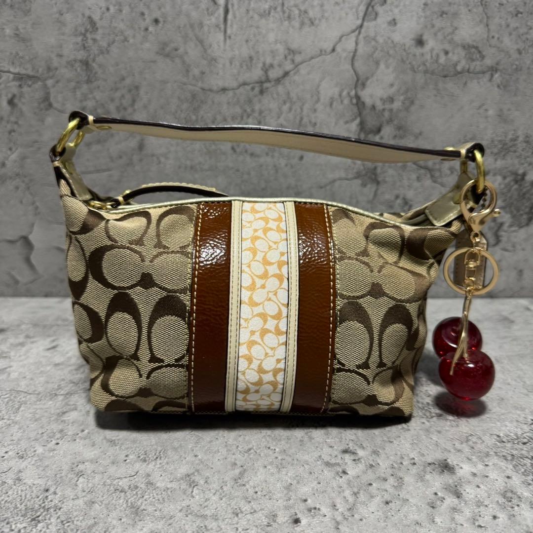 バッグ Coach Y2K Hobo Signature Accessory Pouch