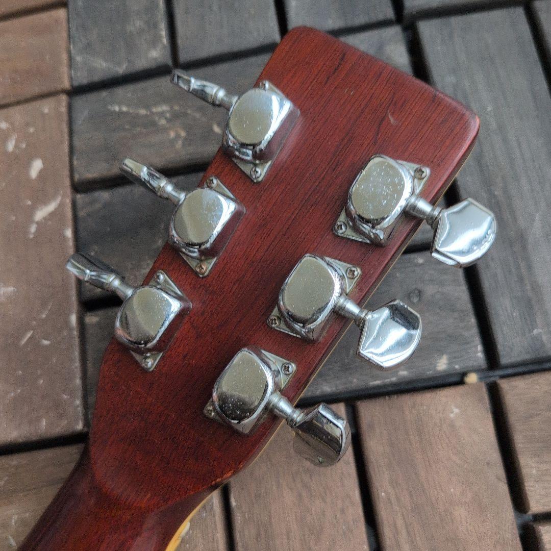 EGIMA J−25 ハカランダ合板 アコースティック！