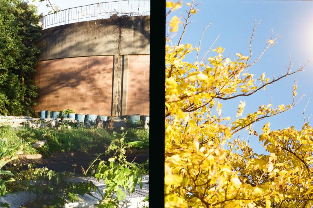 OLYMPUS PEN F【整備済動作品】