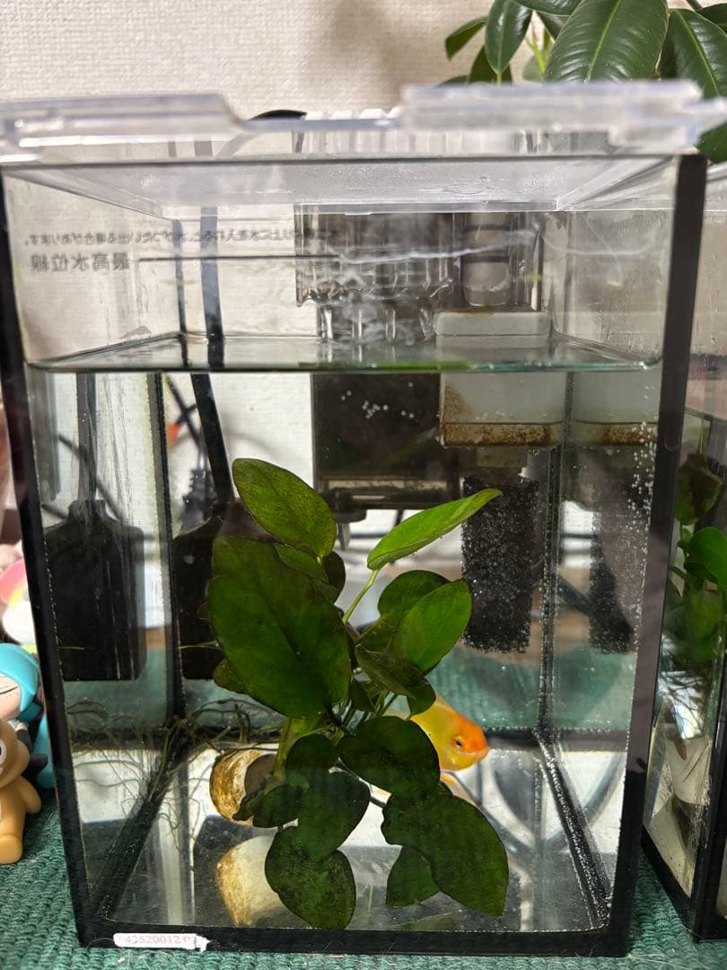 KOTOBUKI LEGLASS 150ハイ　水槽GEXヒーター5セット