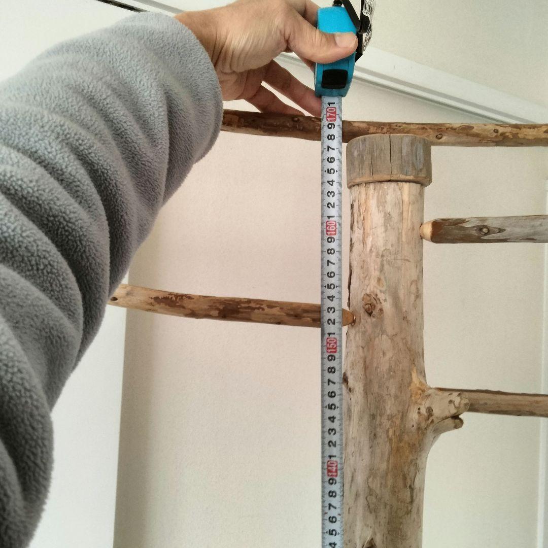 ひげ バードアスレチックジム  大型 天然木 自然木  止まり木