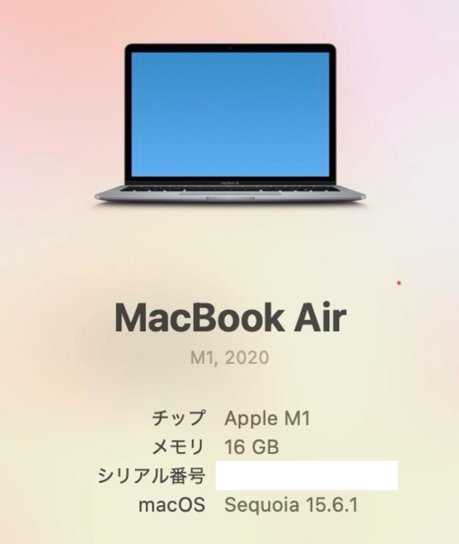 極美品☆MacBook Air m1 2020 13インチ 16GB 245GB
