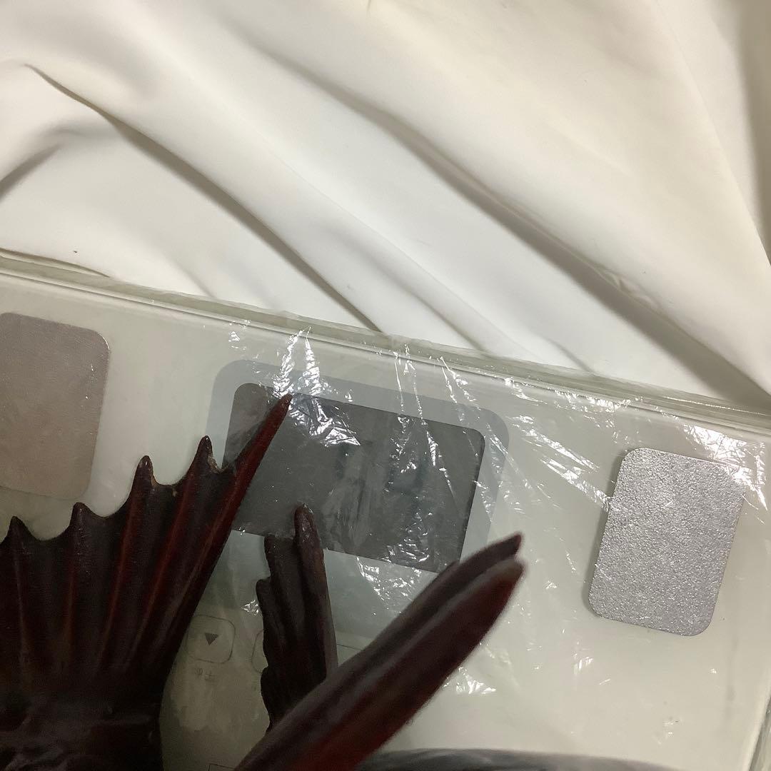 大ぶり‼️#鋳物　#鯛　置物　#縁起物 #金運　#運気