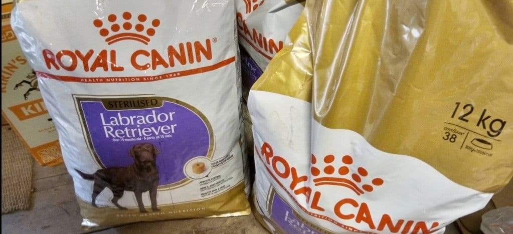  CANIN ステリライズド ラブラドール 12kg