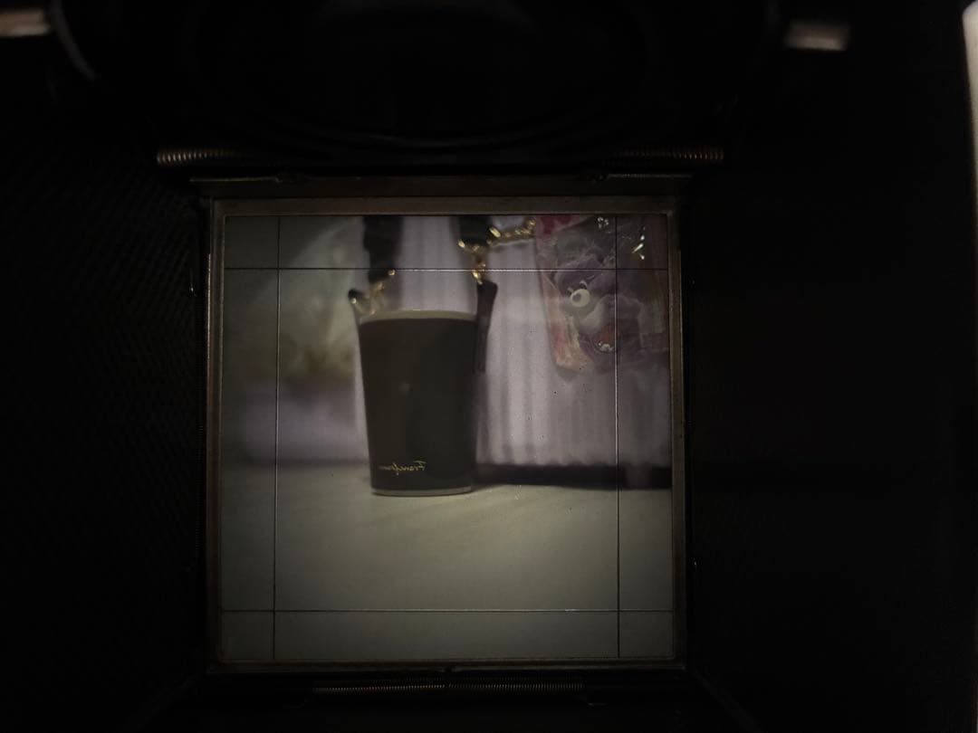 ゼンザブロニカ　Zenza bronica S1