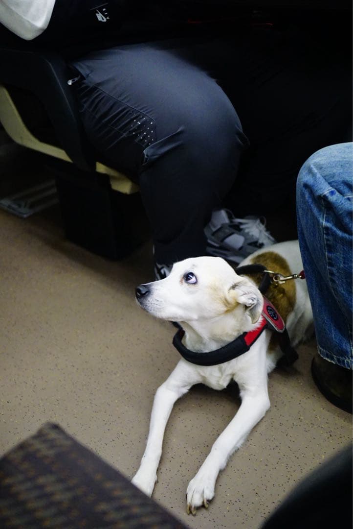 【ミラーレス一眼カメラ 】SONY α6000ダブルズームレンズキット