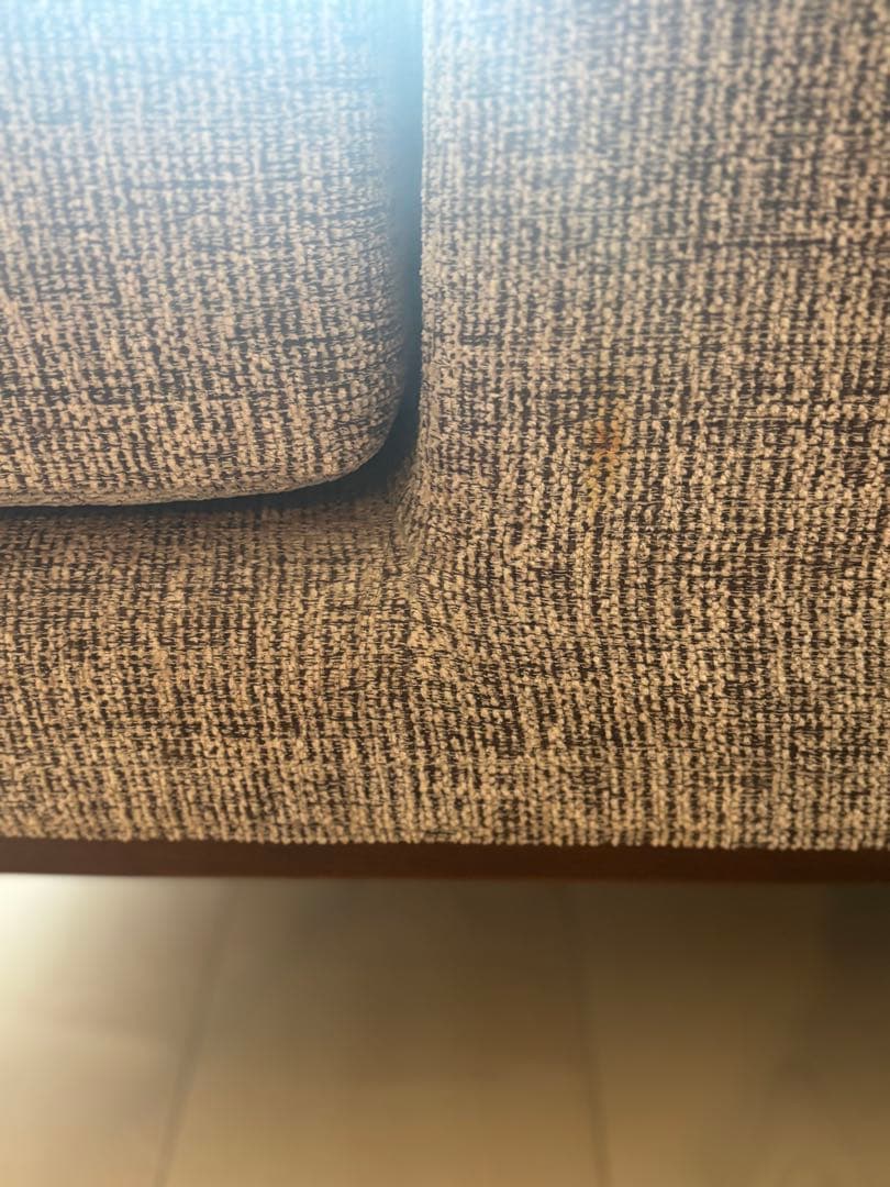 ワニ茶漬け　JFKソファ