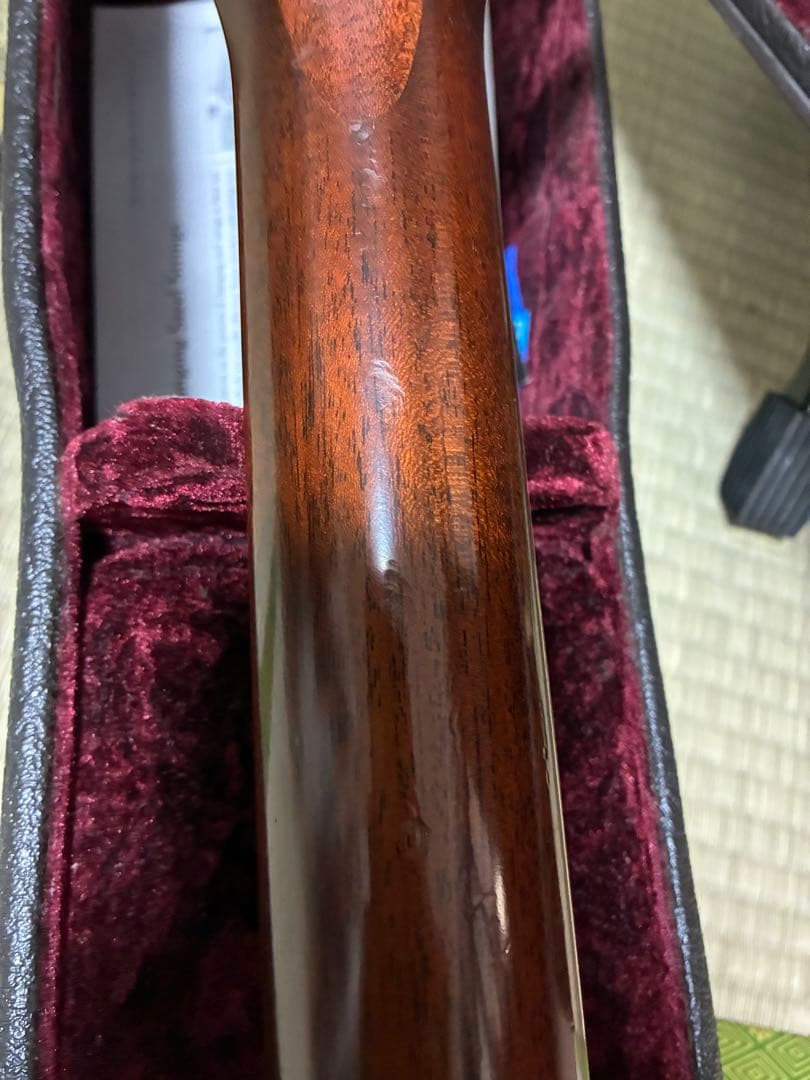 Taylor Guitars アコースティックギター ハードケース付き