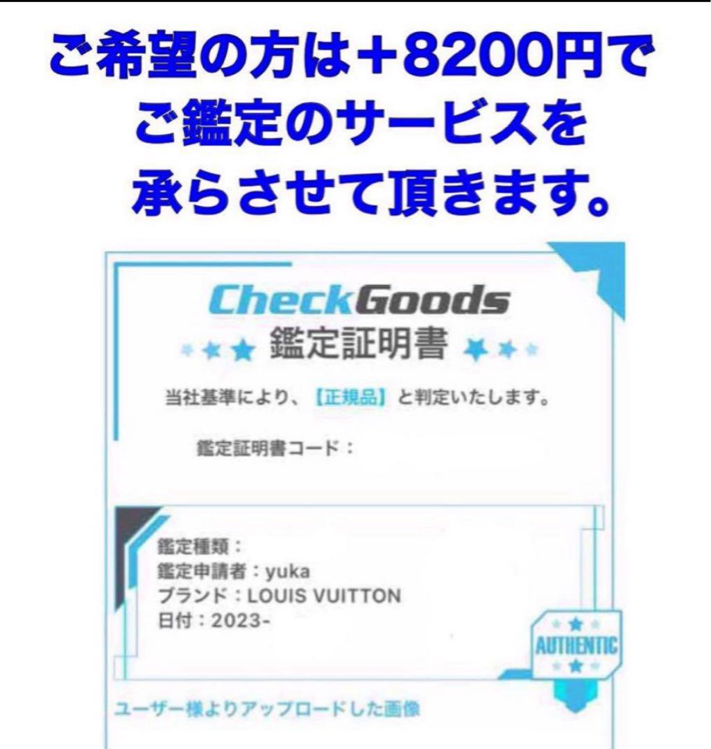 ⛄️良品⛄️レア品ルイヴィトン ブルームズベリPMダミエ ショルダーバッグ#607