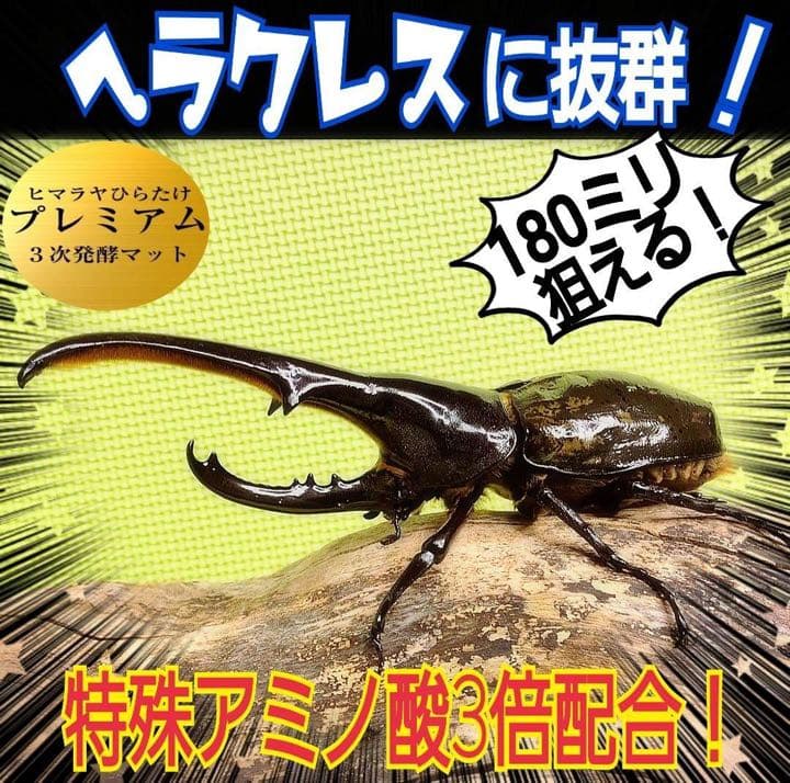ギネスサイズ実績！特選プレミアム3次発酵カブトムシマット【6袋】特殊アミノ酸配合