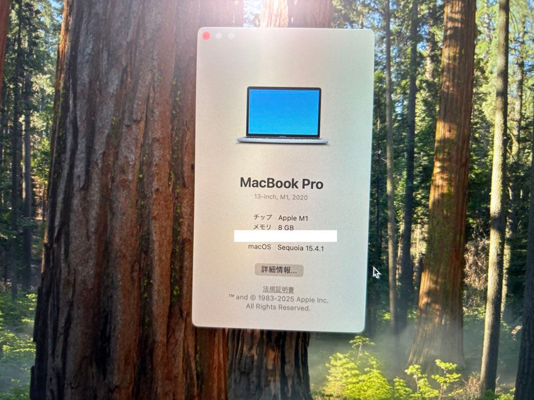 MacBook本体 MacBook Pro M1 8GB 256GB