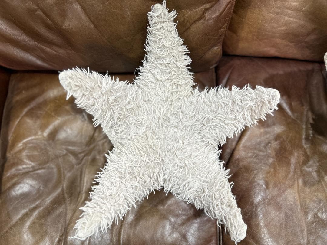 【セット】Ron Herman / ロンハーマン　BigStuffed　ヒトデ