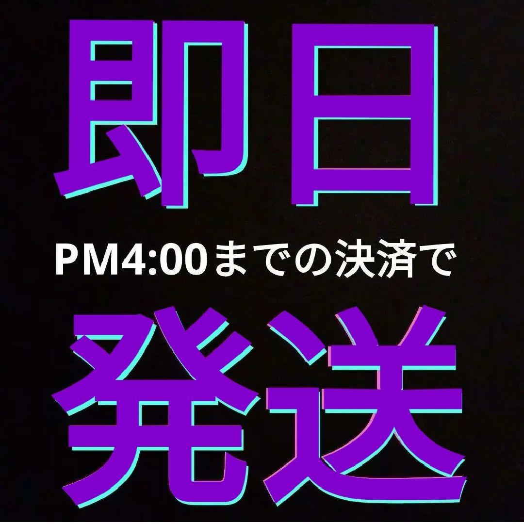 カシムラ 100V/230V 3000W 大型トランス TTS-119C 変圧器
