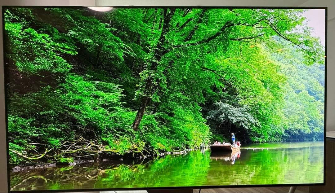 【OLED】有機EL 65インチ OLED65CXPJA