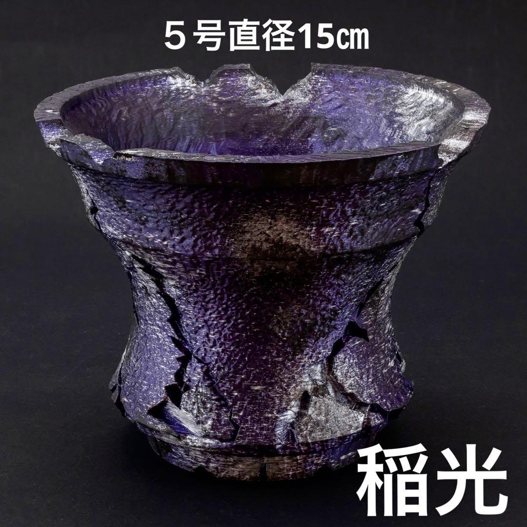 ペロガメラ様 稲妻砂塵　４号　５号　稲光紫　５号