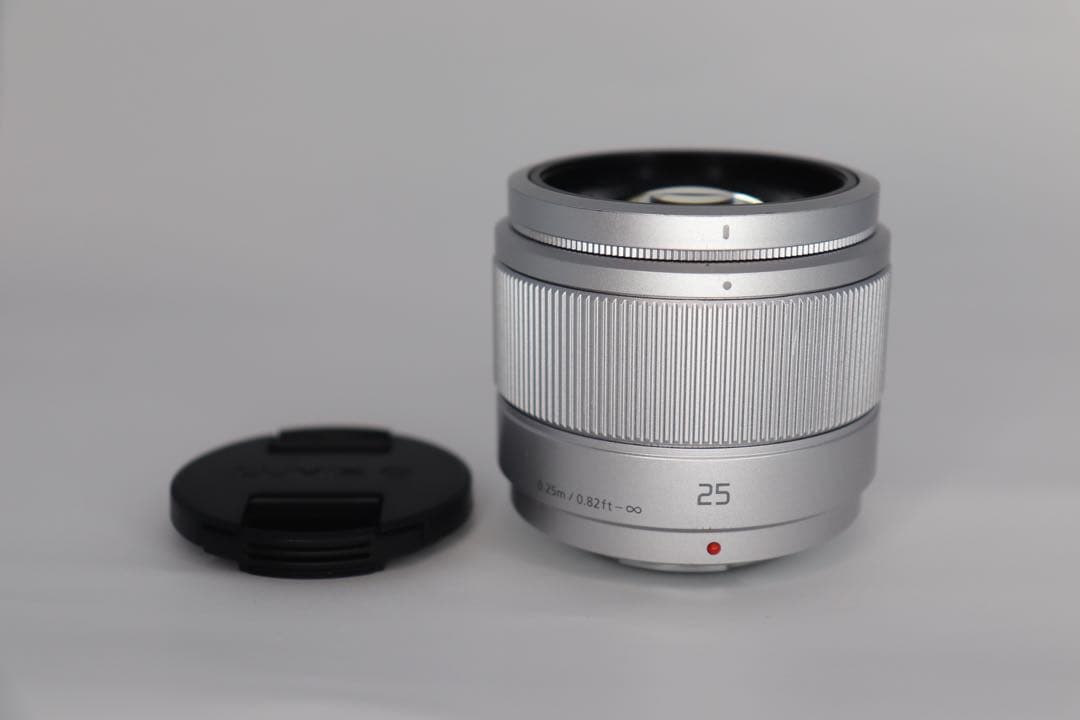 【やまと】パナソニック LUMIX DC-GF10Wダブルレンズキット