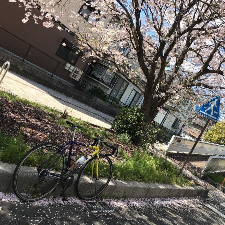 パナモリフレーム