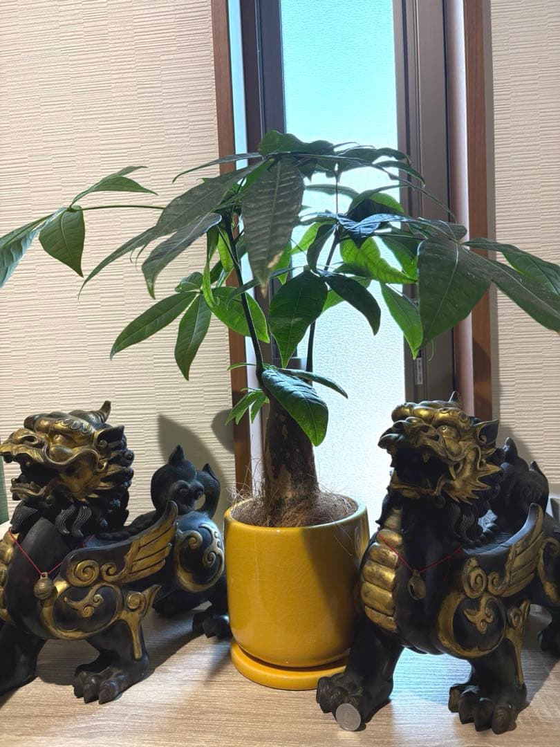 開運　貔貅