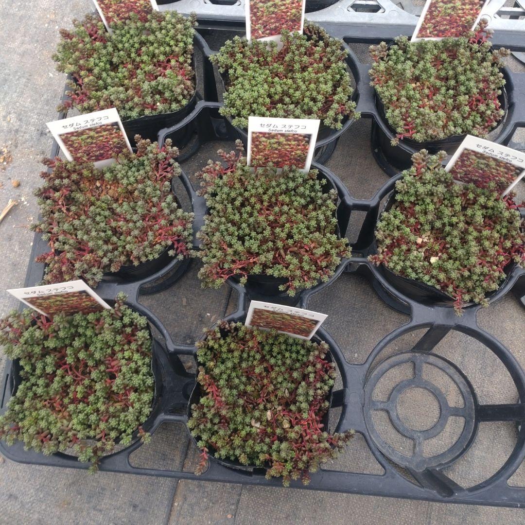 ガレージMさん専用