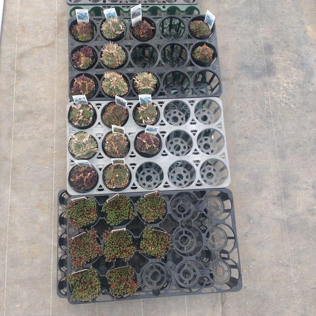 ガレージMさん専用