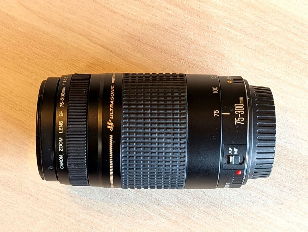 【臨時値下げ】キヤノンEOS55レンズセット