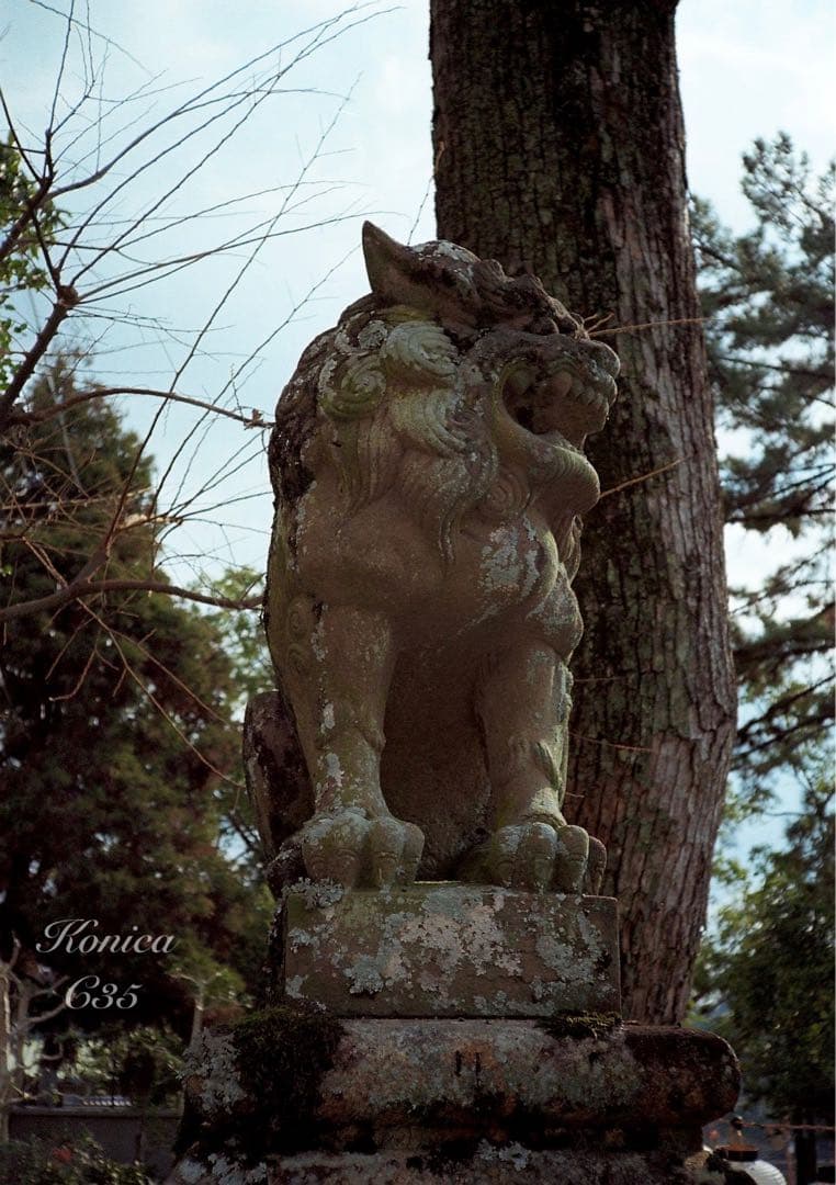 フィルム入門に★Konica C35★完動品＊美品＊初期保証＊作例必見！