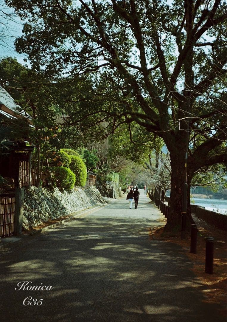 フィルム入門に★Konica C35★完動品＊美品＊初期保証＊作例必見！