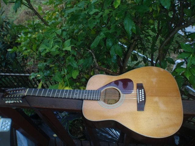 YAMAHA FG-260 12 弦ギター　程度普通　よく鳴る