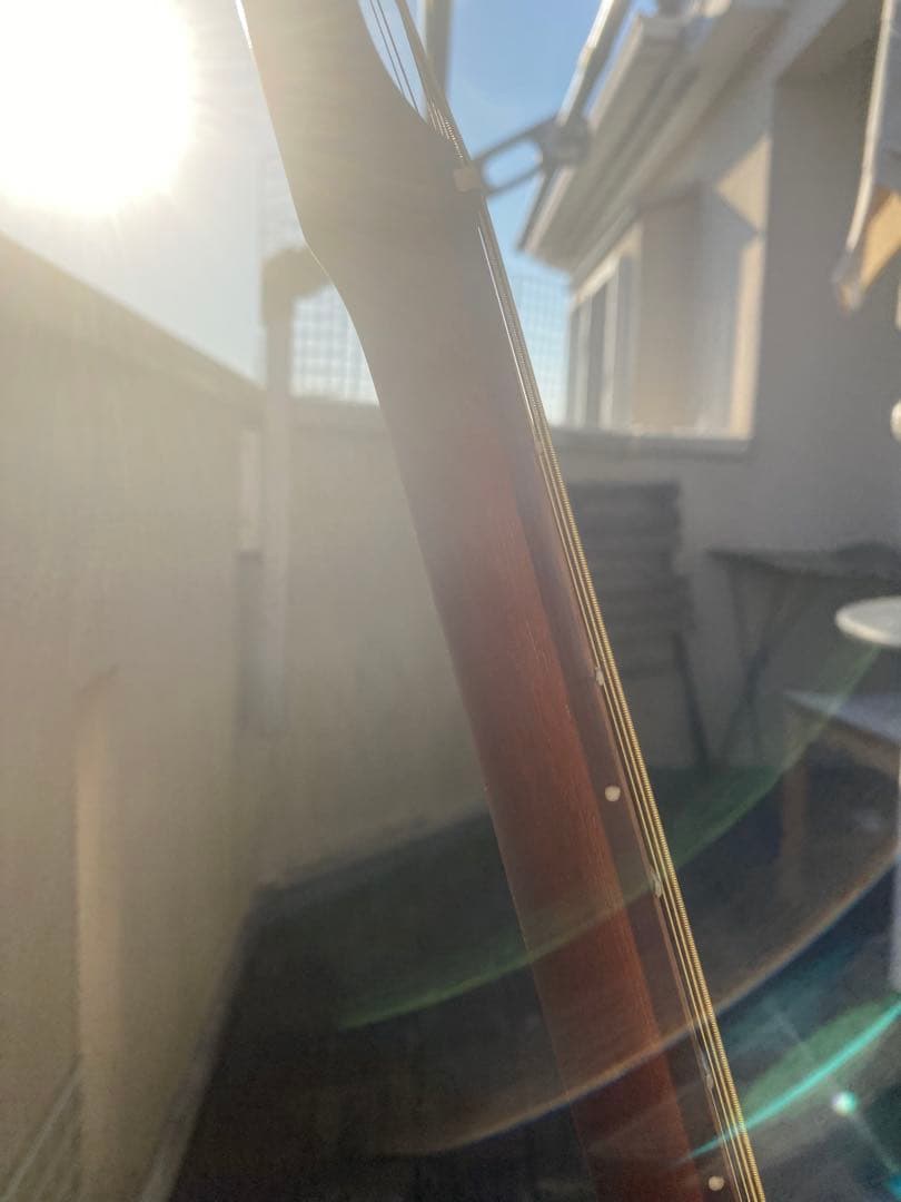 Fender Newporter Player (フェンダーニューポーター)