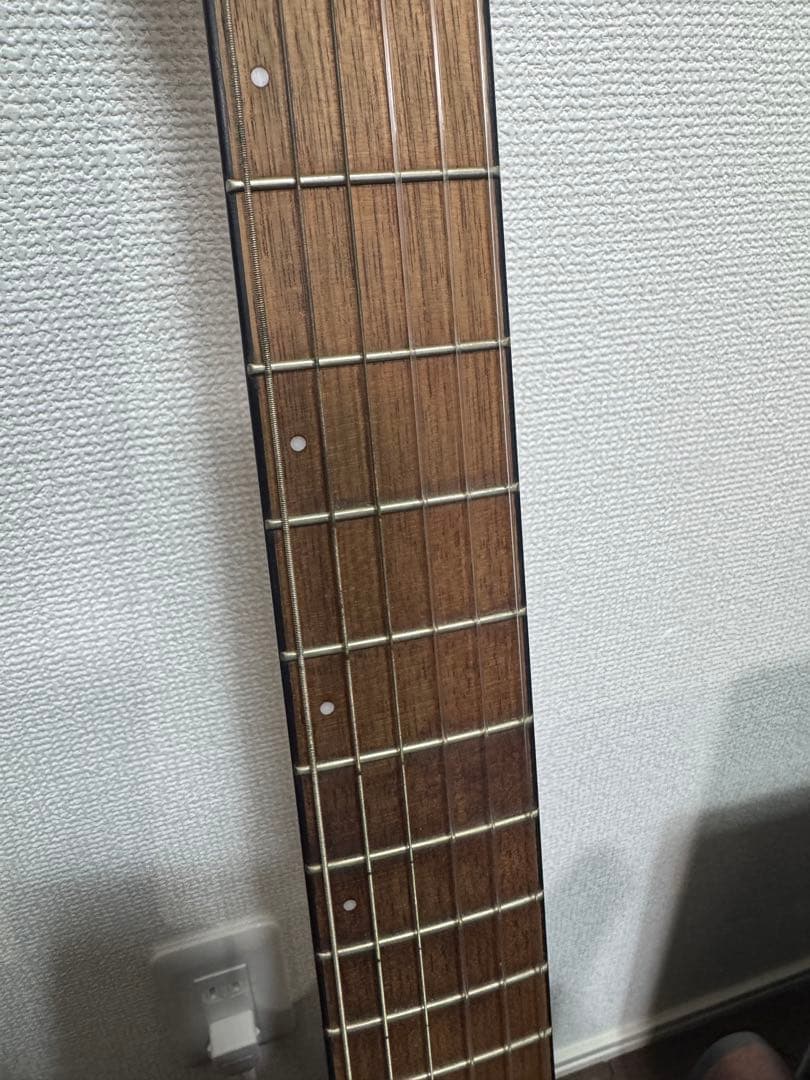d*g様 Ibanez FRH10N BSF エレガットギター アイバニーズ　ケ