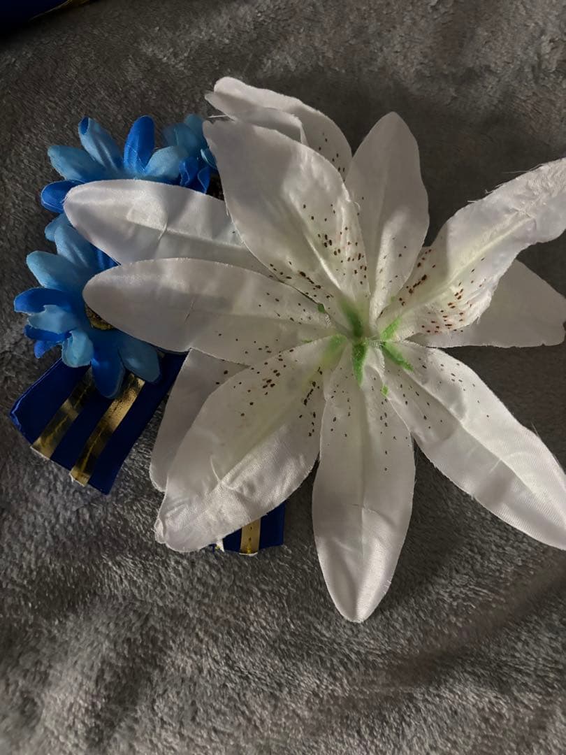 14時迄値下FateGrandOrder(FGO/アーキタイプ.アース/コスプレ