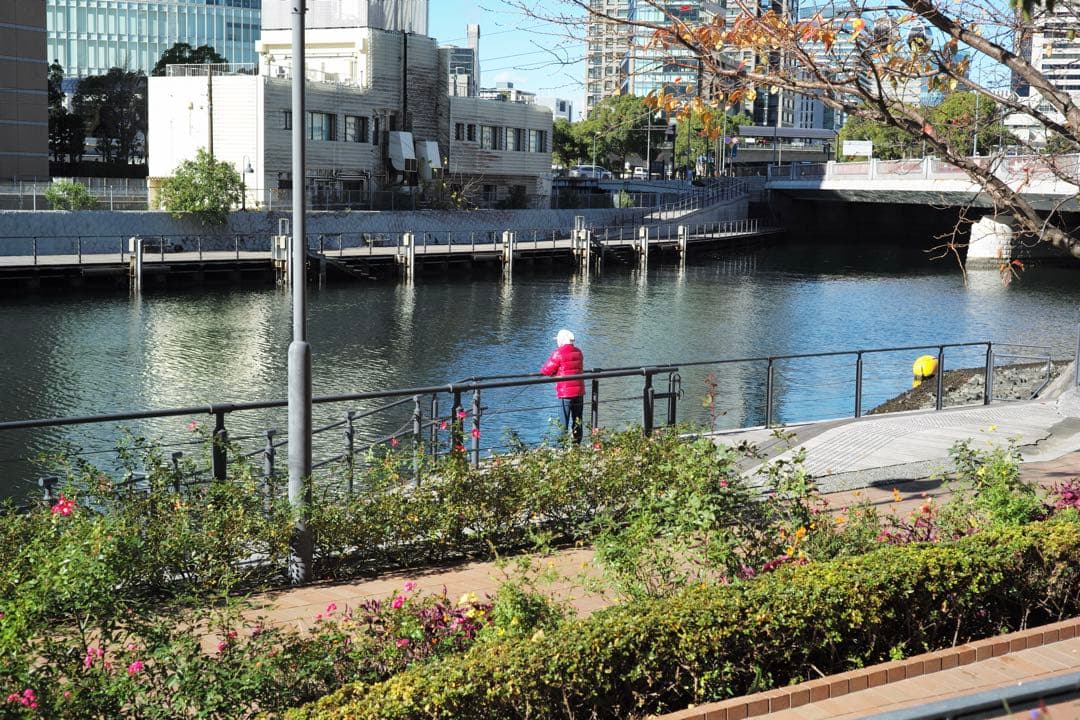 Leica 固定　ズミクロン　50mm F2