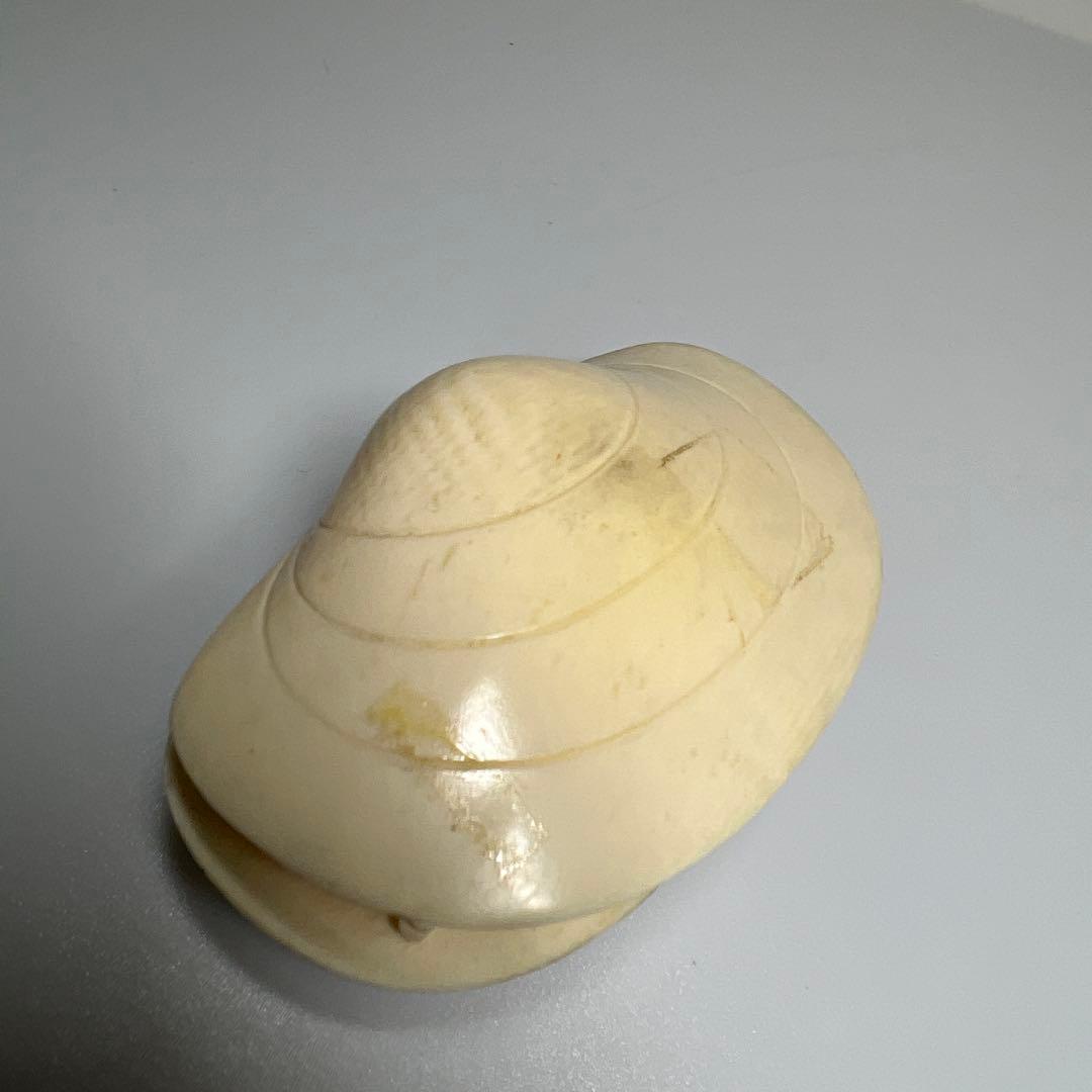 極上貝透彫置物　50g/横幅約7㎝　東Y8-0109☆2Fタサオ