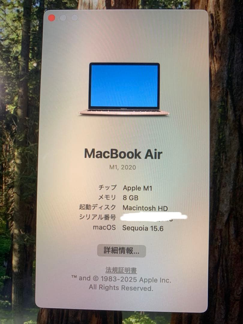 MacBookAir M1 2020 ピンクゴールド