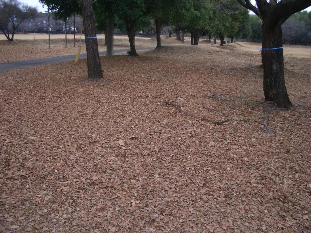 カシオ EXILIM EX-Z4 オールドコンデジ デジカメ バッテリー2個付き