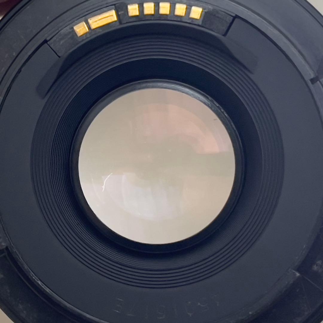 Canon キヤノン EF 50mm f/1.8 Ⅱ フード付き