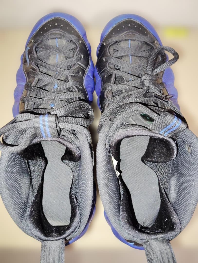 シューズ(男性用) Nike 28.5cm AIR FOAMPOSITE PRO