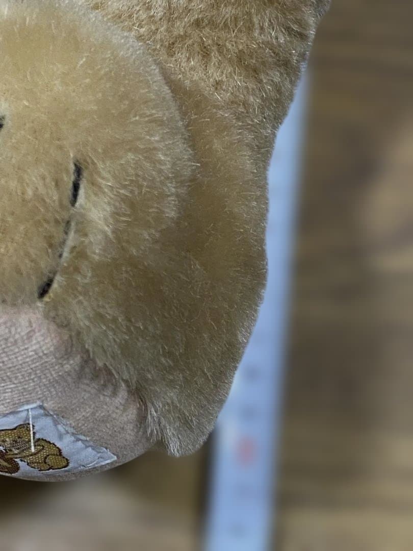 ③テディベア