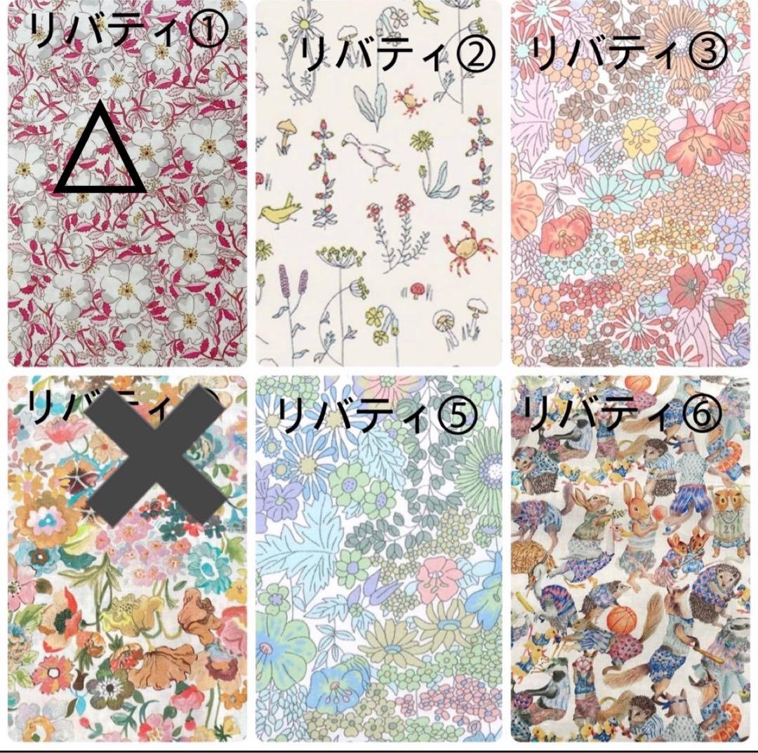 とんページピコタンpmサイズバッグインバッグ