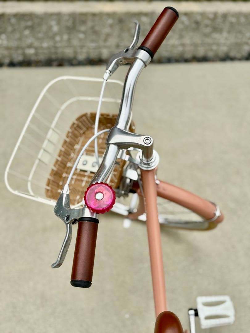 【⁎⁺˳✧༚様　受渡し専用】トーキョーバイクjr 20インチ　限定色