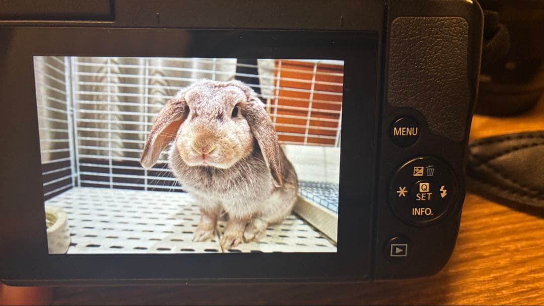 Canon EOS M10 ブラック本体と付属品